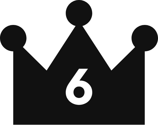 NO.6